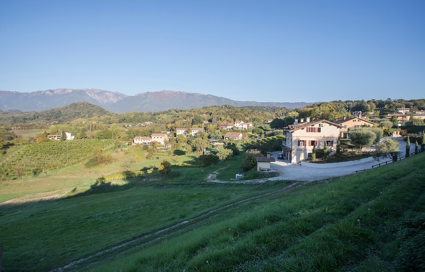 AZIENDA AGRICOLA GHISOLANA DI DALL'EST LISA — foto 3