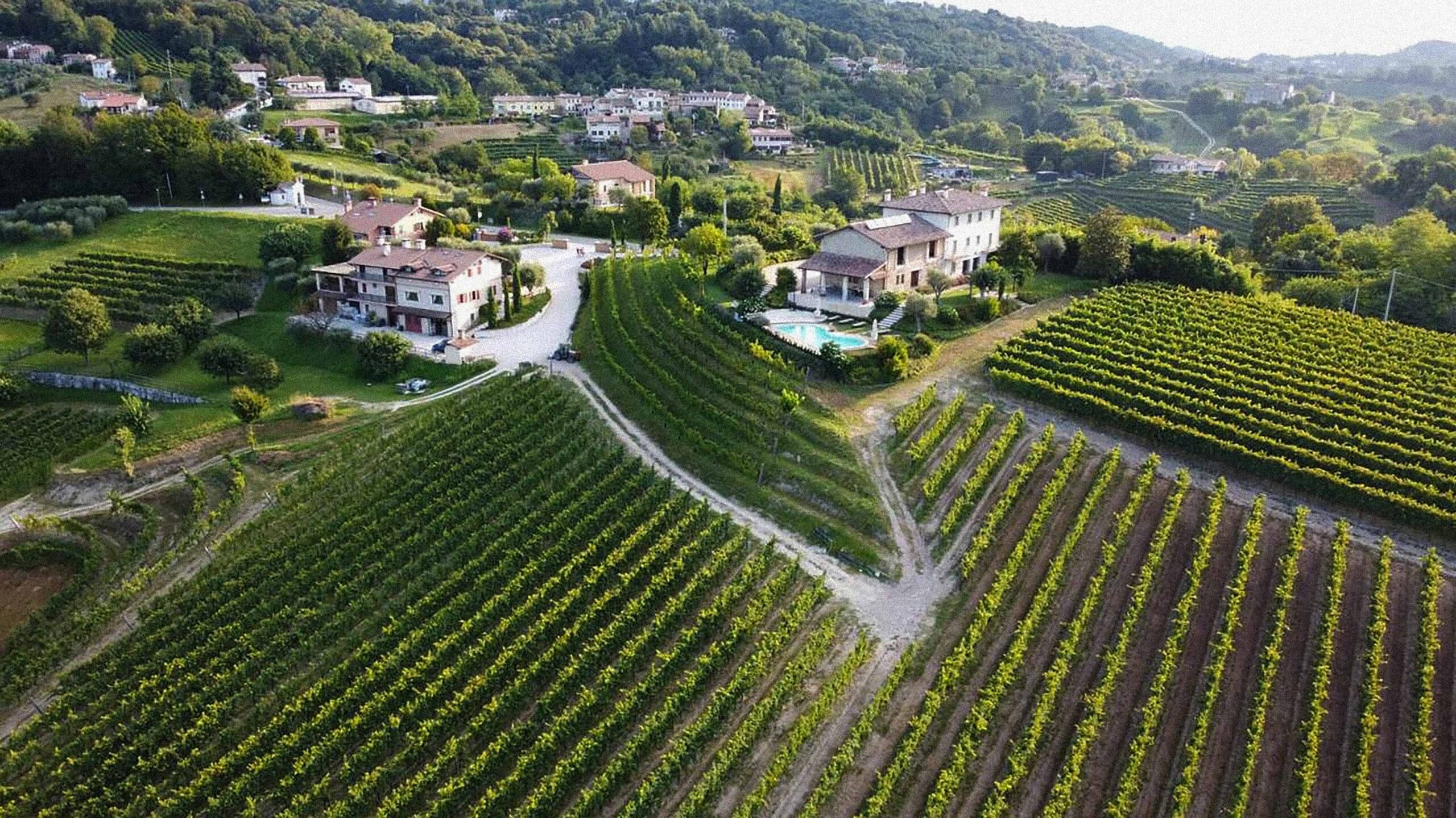 Cantina vitivinicola Ghisolana con vini biologici, Cantina del Prosecco Superiore di Asolo DOCG